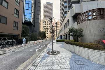敷地の南側前面道路（東側から）