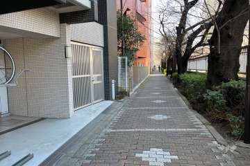 敷地北側の前面道路