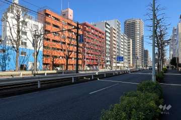 敷地の南側前面道路（西側から）