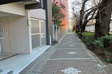 敷地の北側遊歩道（東側から）