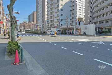 敷地の北側前面道路新目白通り（都道8号線）です（東側から）。