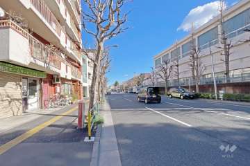 敷地南側の前面道路（西側から）