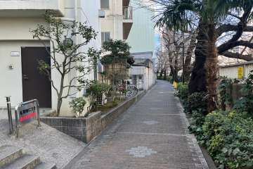 敷地北東側の前面道路