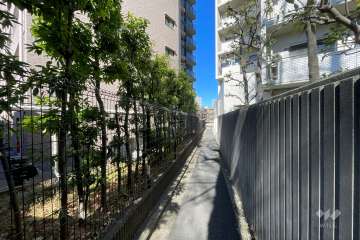 敷地の東側前面道路（南側から）