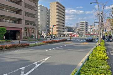 敷地の東側前面道路は都道25号です（南側から）。