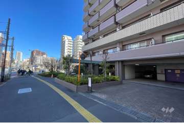 敷地の西側前面道路（南側から）