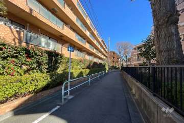 敷地南側の前面道路（西側から）