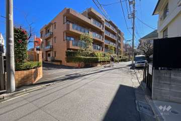 敷地西側の前面道路（北側から）