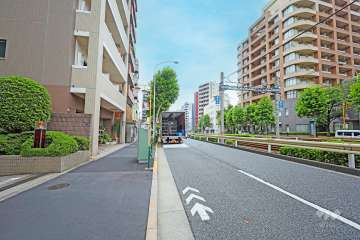敷地南側の前面道路（西側から）