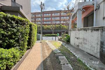 敷地西側の前面道路（北側から）