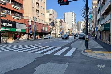 敷地の南側前面道路（西側から）