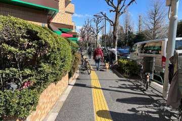 敷地の南西側前面道路（北西側から）