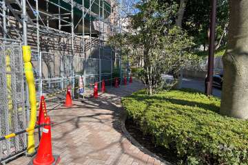 敷地南側の前面道路（西側から）