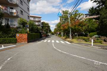 敷地北東側の前面道路