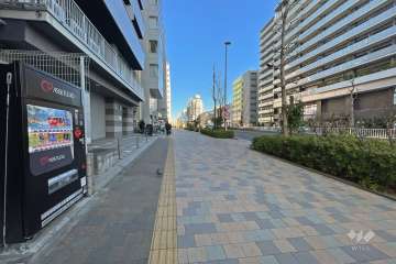 敷地東側の前面道路（南側から）