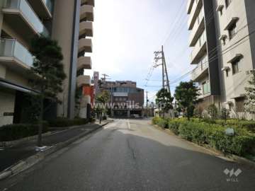 敷地の西側前面道路（北側から）