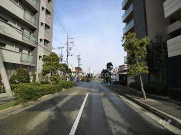 敷地の西側前面道路（南側から）