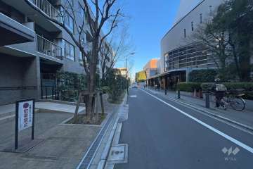敷地の東側前面道路（南側から）