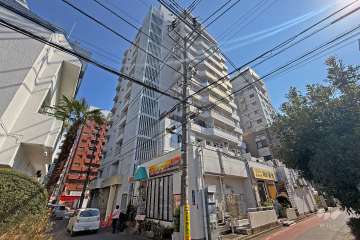 新宿第2アルプスマンションの外観（北西側から）