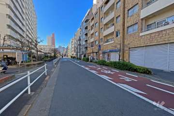 敷地の東側前面道路（北側から）