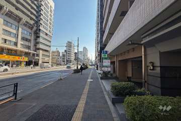 敷地東側の前面道路（北側から）