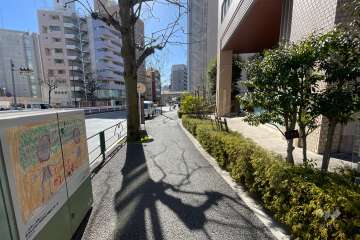 敷地の東側前面道路（北側から）