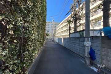 敷地南側の前面道路