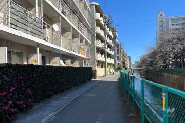 敷地南側の前面道路