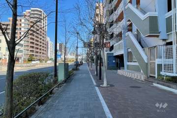 敷地の西側前面道路（南側から）