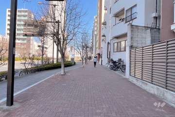 敷地西側の前面道路（南側から）