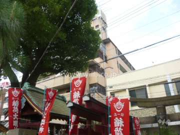 マンションの南側に神社があります。
