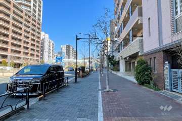 敷地の西側前面道路（南側から）