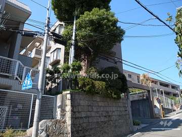 敷地は南ひな壇になっています。