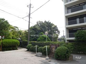 周辺には生垣のあるお屋敷も多く立ち並んでいます。