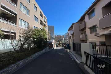 敷地の南側前面道路（西側から）