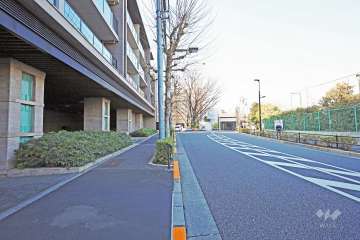 敷地北東側の前面道路（東側から）