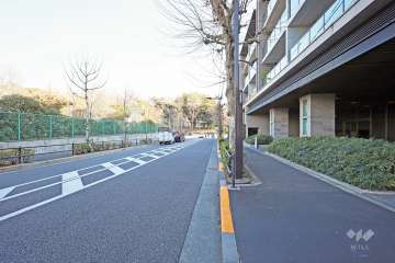 敷地北東側の前面道路（西側から）