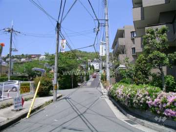 周辺は緑豊かで閑静な住宅地です。
