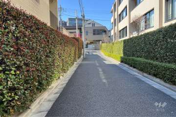 敷地の北東側前面道路（南東側から）