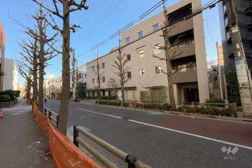 敷地北側の前面道路（西側から）