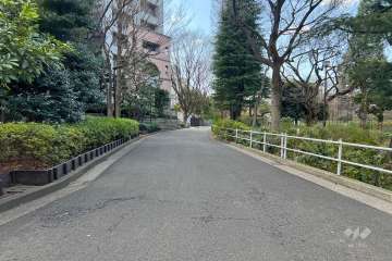 敷地の北側前面道路（東側から）