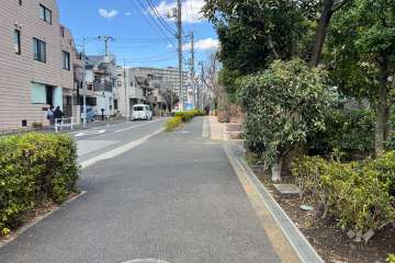 敷地の北西側前面道路（南西側から）