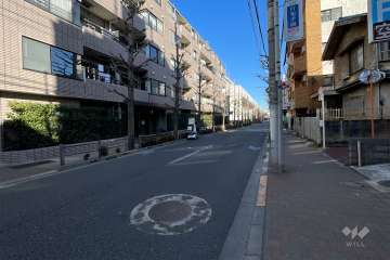 敷地の南側前面道路（西側から）