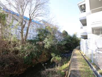 初谷川の川沿いは緑豊かです。