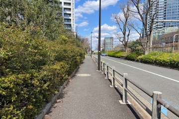 敷地東側の前面道路　