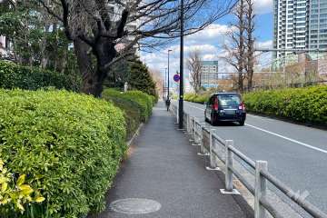 敷地の南東側前面道路（南西側から）
