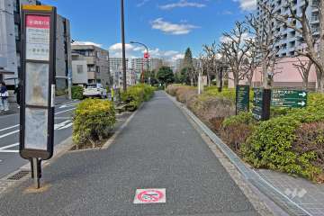 敷地の南西側前面道路（南東側から）。マンション名を冠したバス停が目の前にあります。