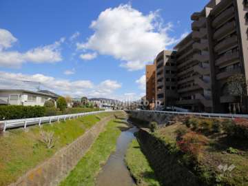 敷地北側には最明寺川が流れています。