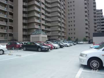 敷地内駐車場（平面自走式）