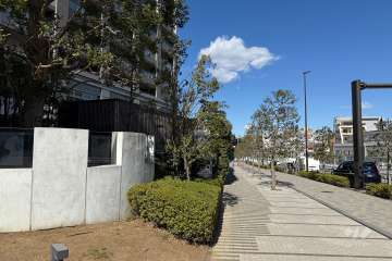 敷地東側の前面道路　